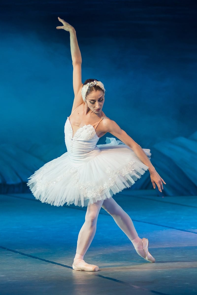 Barre Exercise Image